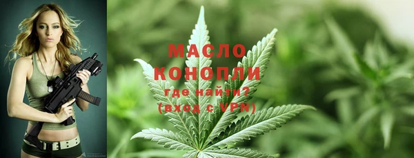 PSILOCYBIN Корсаков