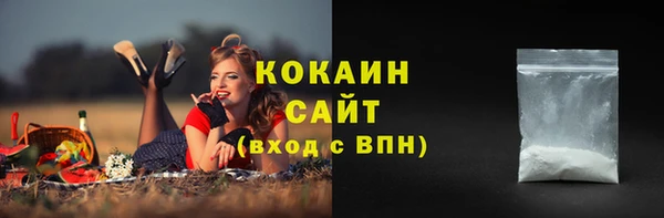 PSILOCYBIN Корсаков